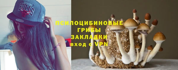 гашик Белоозёрский