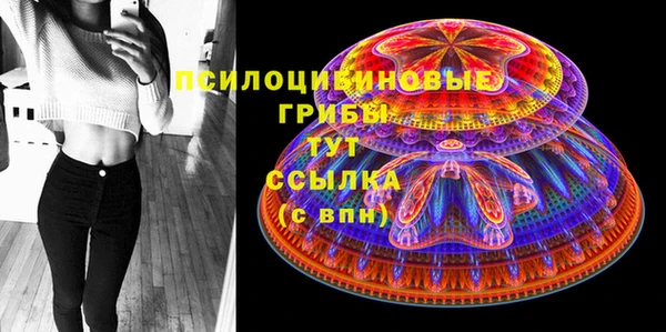 амфетамин Белокуриха