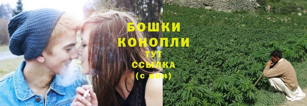 гашик Белоозёрский