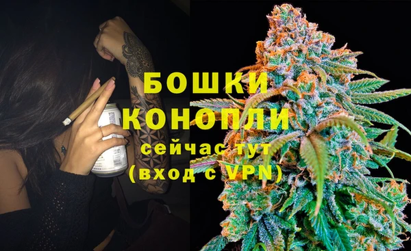 амфетамин Белокуриха